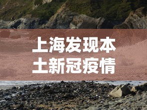 上海发现本土新冠疫情(上海新冠疫情起止时间和结束时间) 上海发现本土新冠疫情(上海新冠疫情起止时间和结束时间)