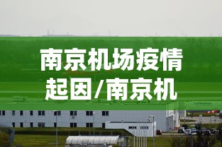 南京机场疫情起因/南京机场疫情是哪一年