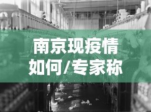 南京现疫情如何/专家称南京疫情仍属上升期