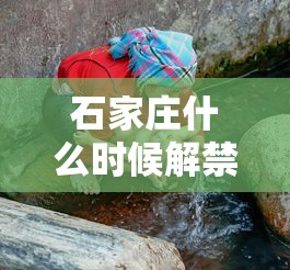 石家庄什么时候解禁疫情:2022年石家庄疫情解封日期 石家庄什么时候解禁疫情:2022年石家庄疫情解封日期