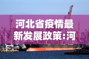 河北省疫情最新发展政策:河北省政府2021年疫情工作会议