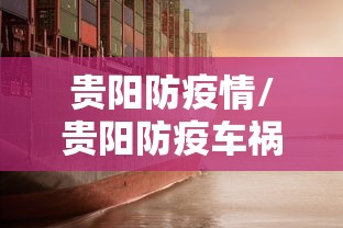 贵阳防疫情/贵阳防疫车祸后续处理
