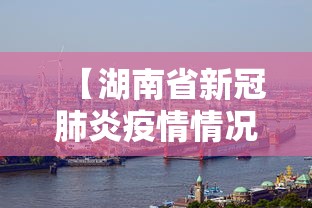 【湖南省新冠肺炎疫情情况,湖南新冠疫情期间招标】