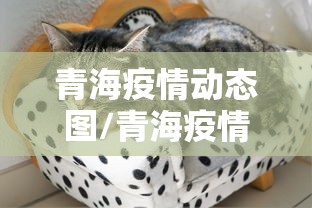 青海疫情动态图/青海疫情是哪一年结束