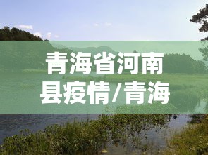 青海省河南县疫情/青海省河南县疫情通报