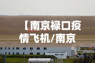 【南京禄口疫情飞机/南京禄口看飞机起落的地方】
