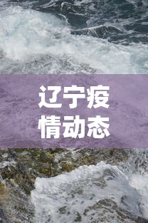 辽宁疫情动态最新消息/辽宁有疫情吗最新消息