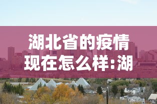 湖北省的疫情现在怎么样:湖北省疫情时的省委书记