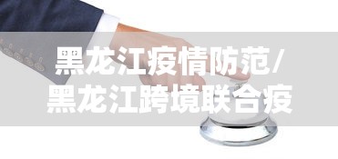 黑龙江疫情防范/黑龙江跨境联合疫情紧急防控演练