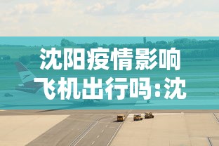 沈阳疫情影响飞机出行吗:沈阳今天飞机正常起飞吗