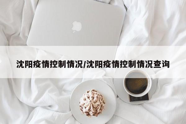 沈阳疫情控制情况/沈阳疫情控制情况查询