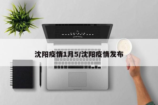沈阳疫情1月5/沈阳疫情发布