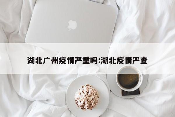 湖北广州疫情严重吗:湖北疫情严查